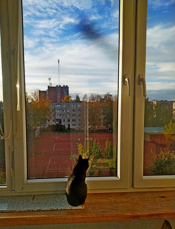 А там , за окном - теннисные корты....И хоть бы кто пригласил.. - Vladimir Semenchukov