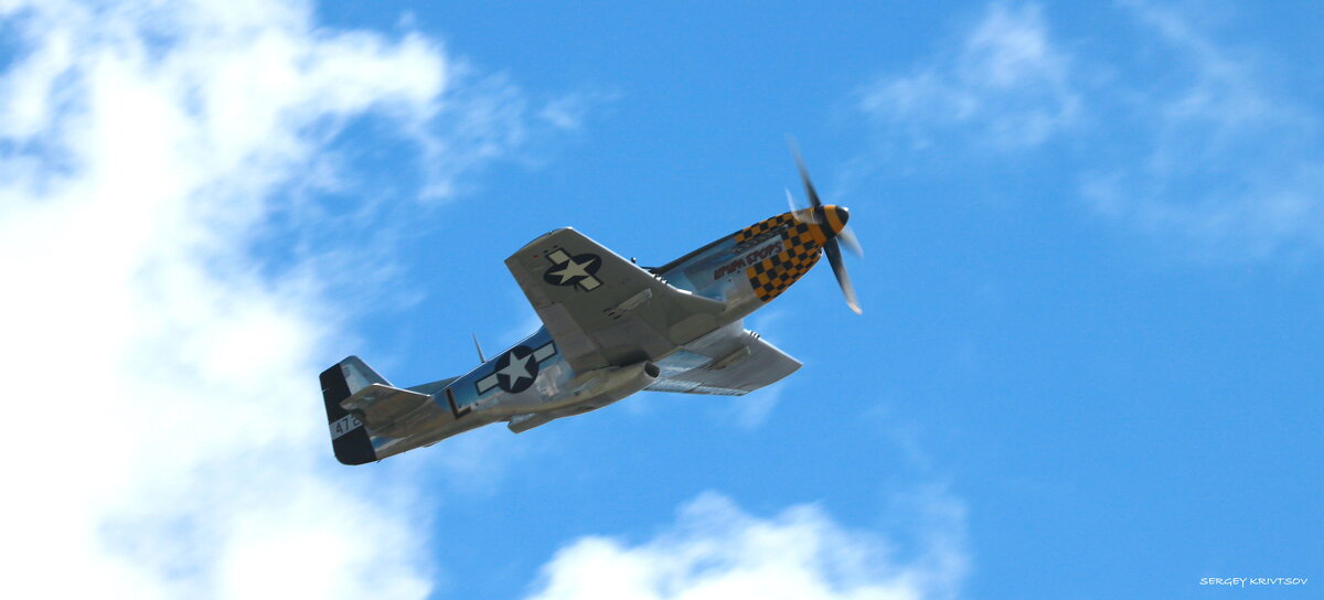 P-51D MUSTANG - Sergey Krivtsov