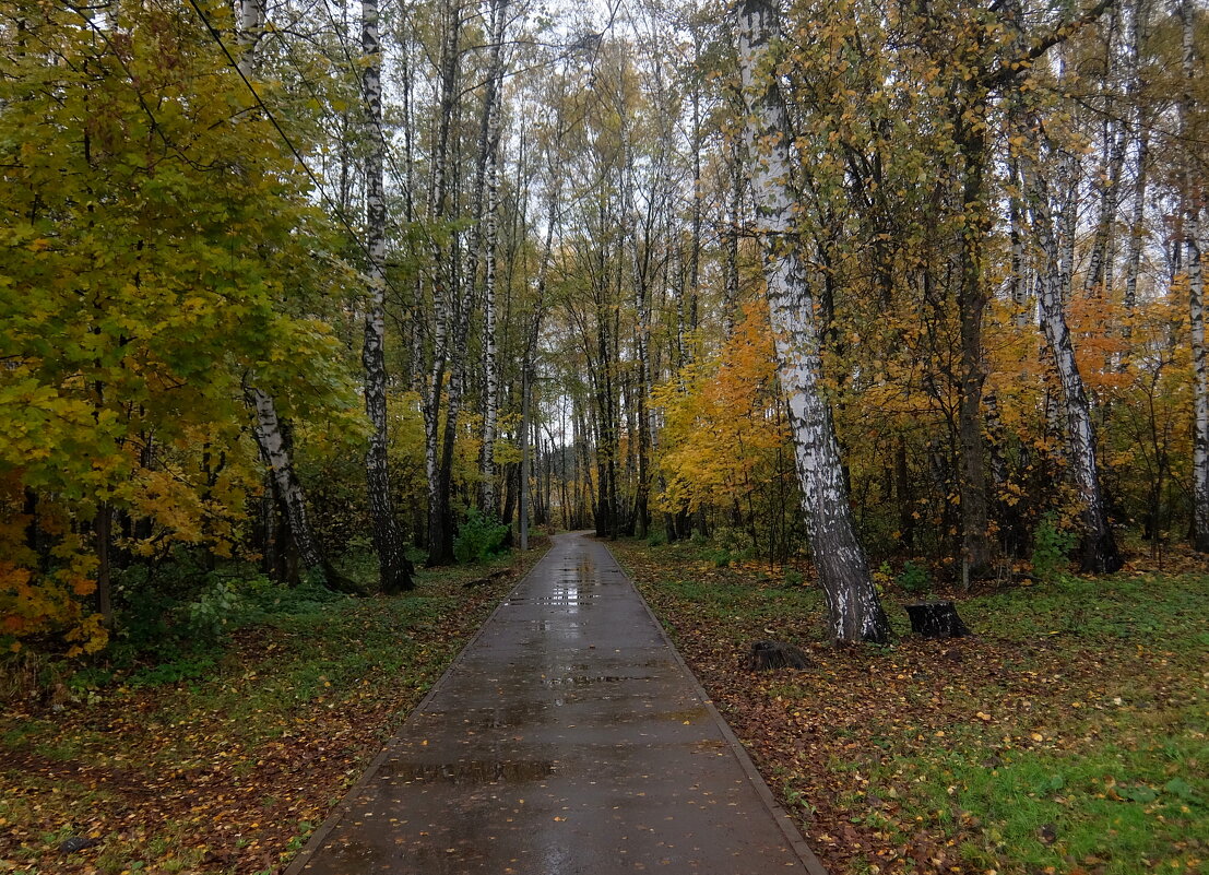 Тихо бродит осень... - Люба 