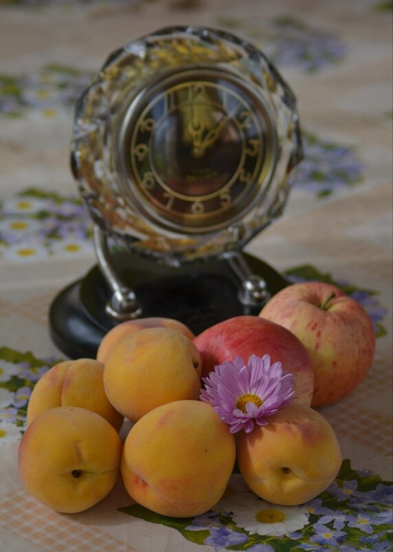 Часы фрукты - александр 