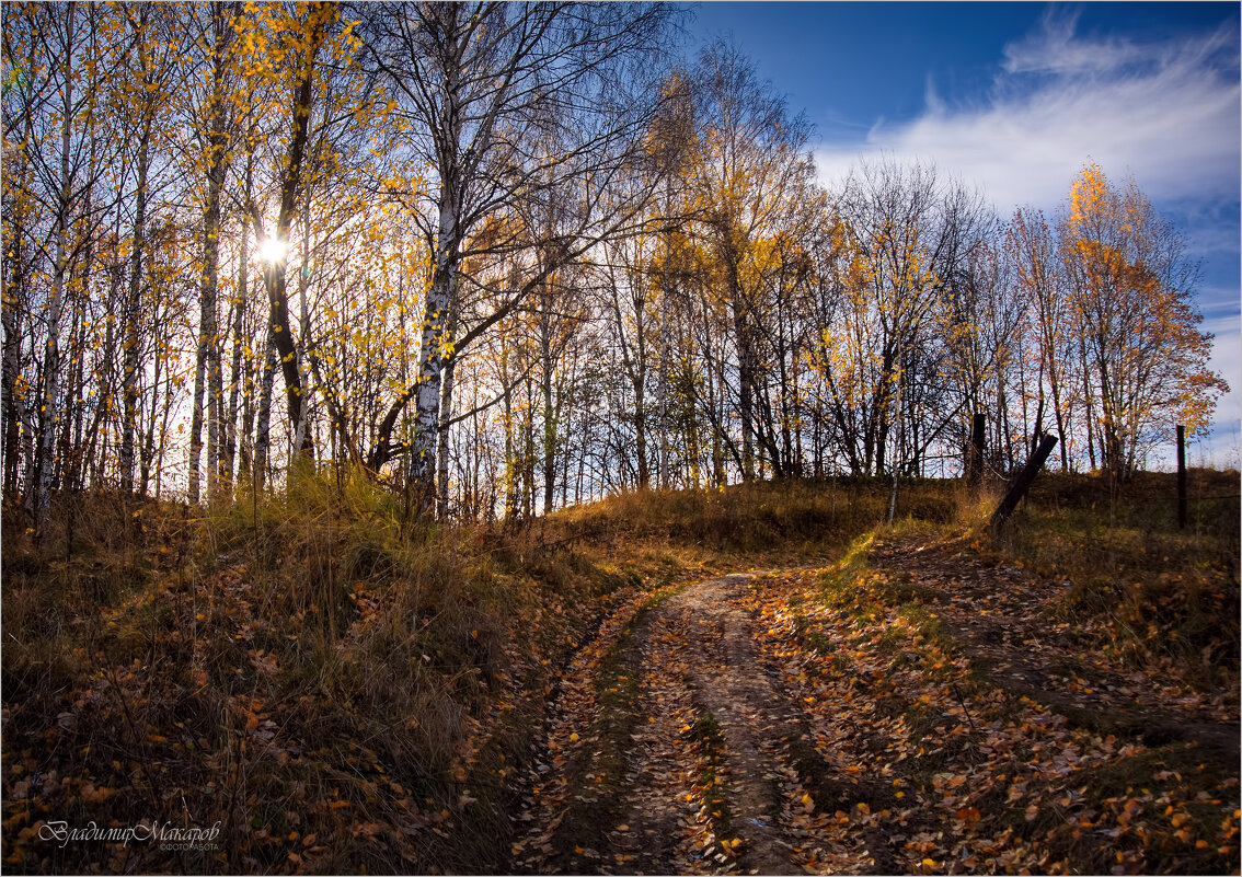 "Опавшая листва в конце октября"© - Владимир Макаров