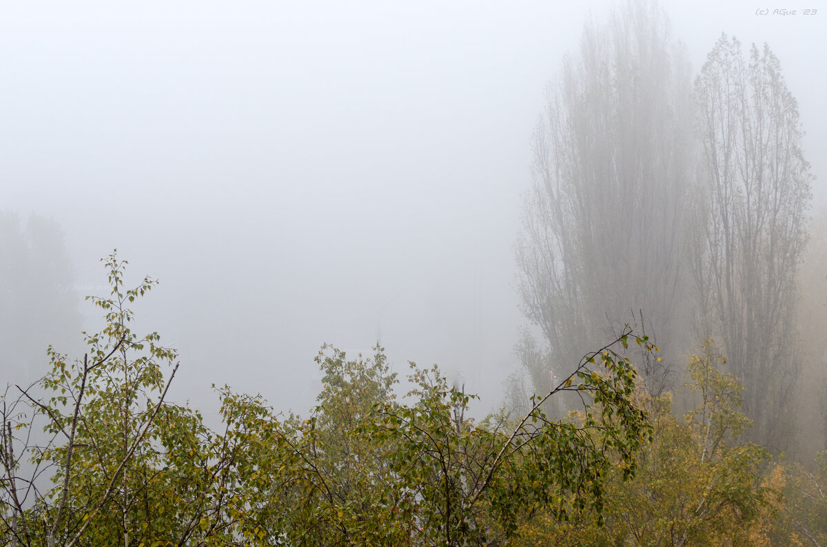 Утренний туман - Andrej Guz