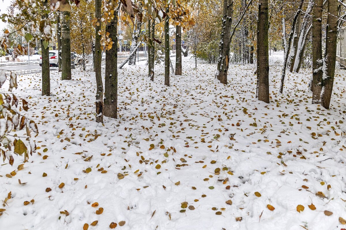 Первый снег в октябре - Валерий Иванович