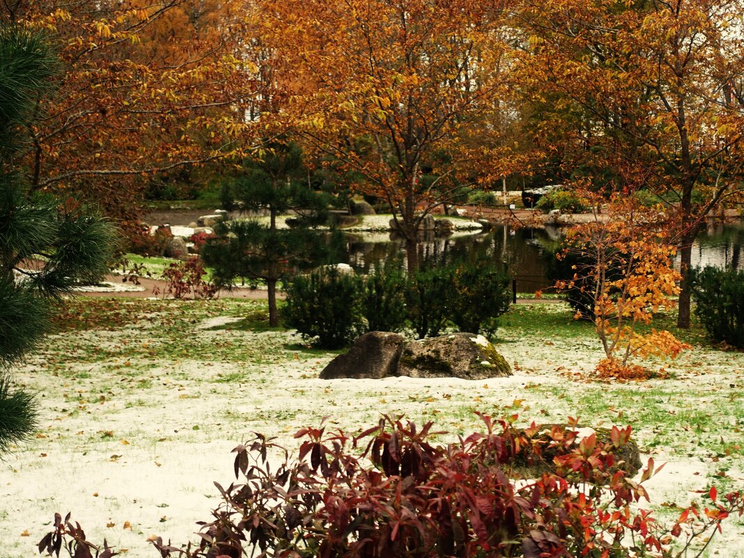 Заснеженный Японский сад Кадриорга 29.10.2023 - Aida10 
