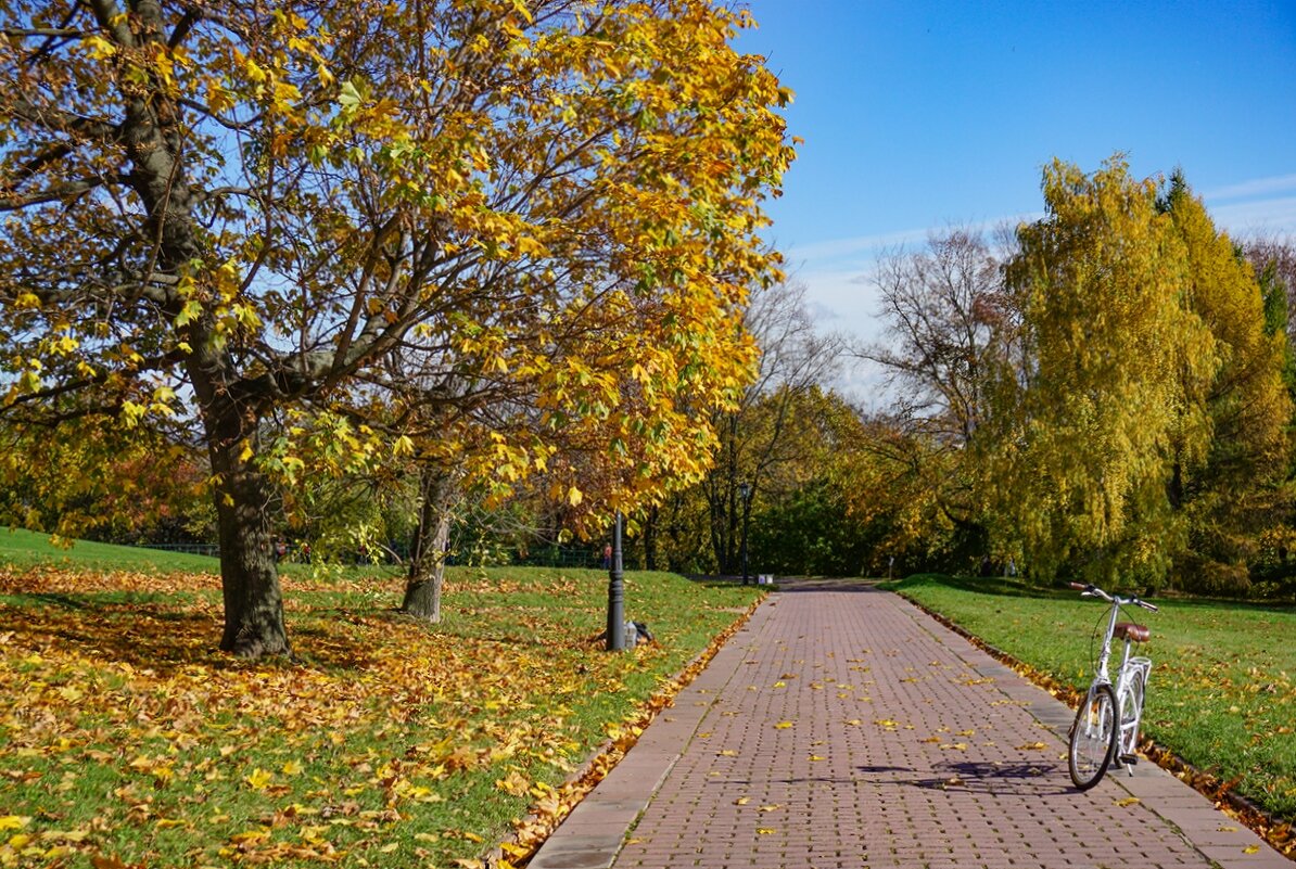 Осень в парке - Ольга 