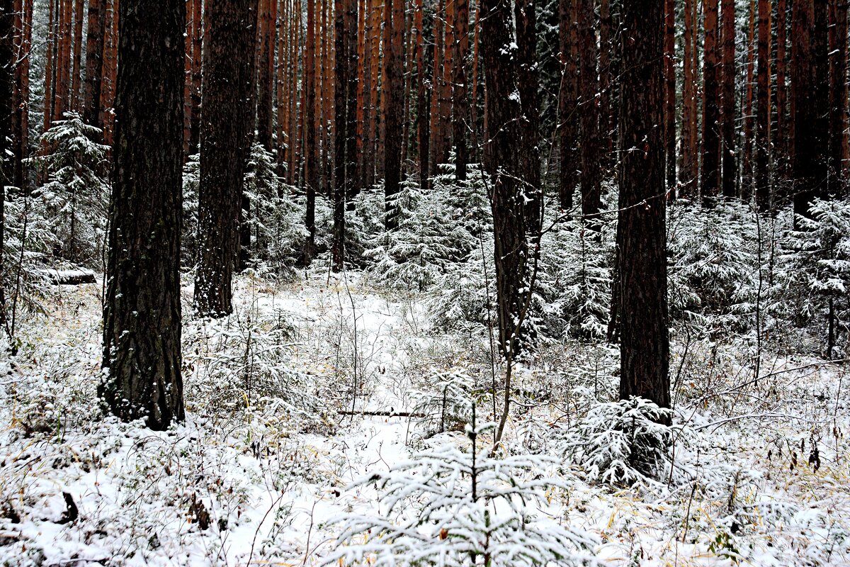 *** - Александр 