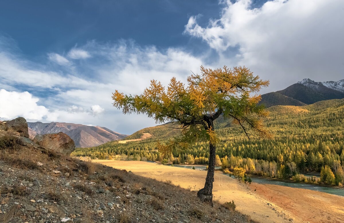 Алтайская осень - Марина Фомина.