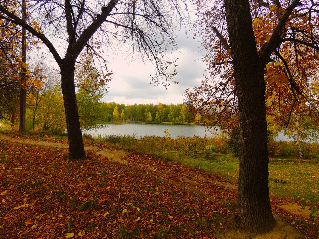 Осень - Вячеслав Маслов