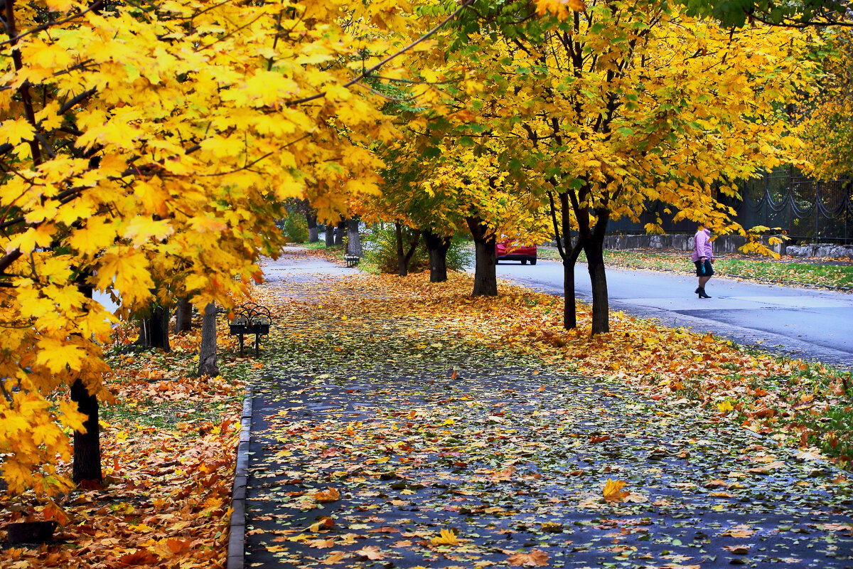 Осенний пейзаж - Юрий Гайворонский
