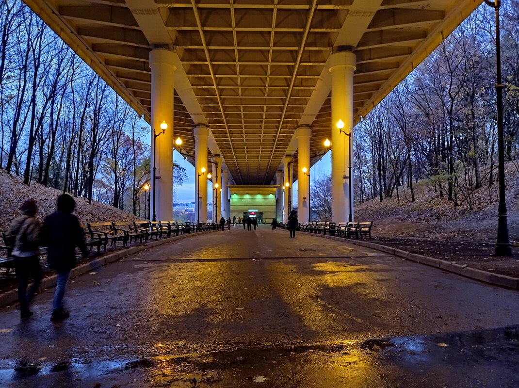 Воробьевы горы. Метромост. - Александр Чеботарь