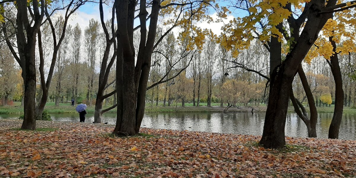 Осенний парк - Наталья Герасимова