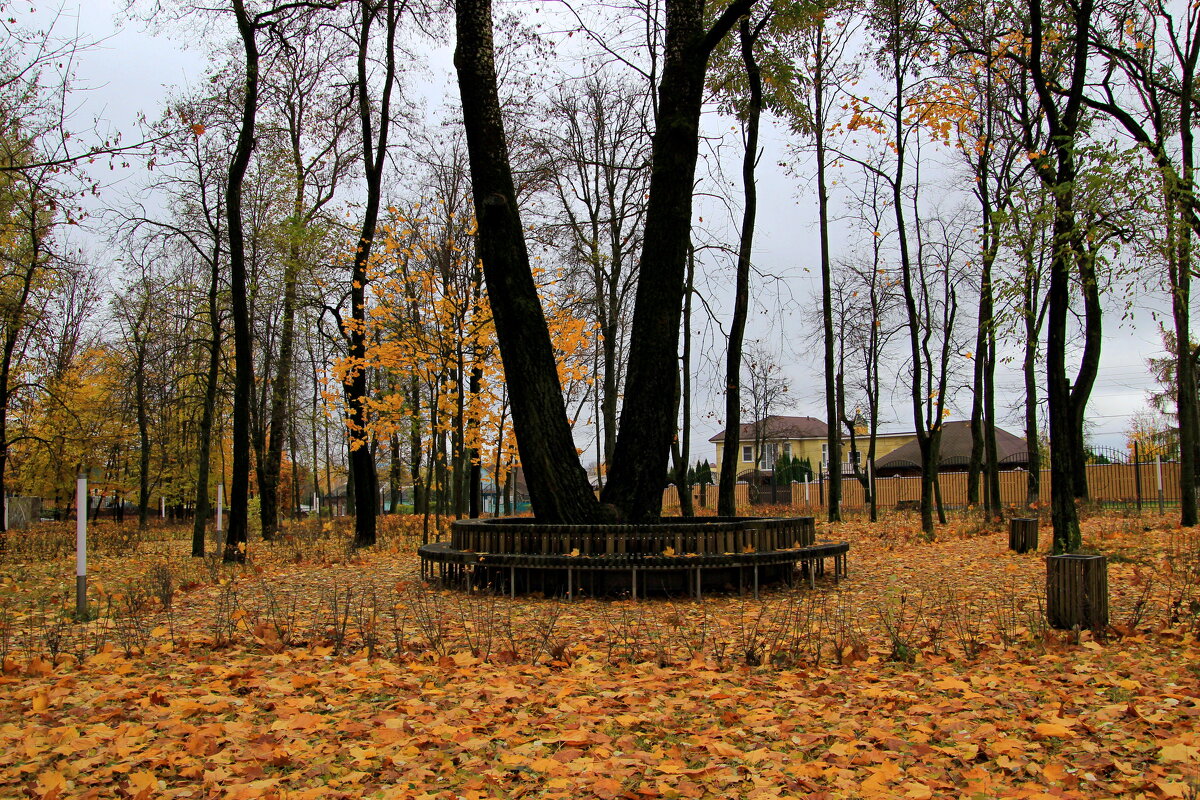 Осень в парке - Сергей 