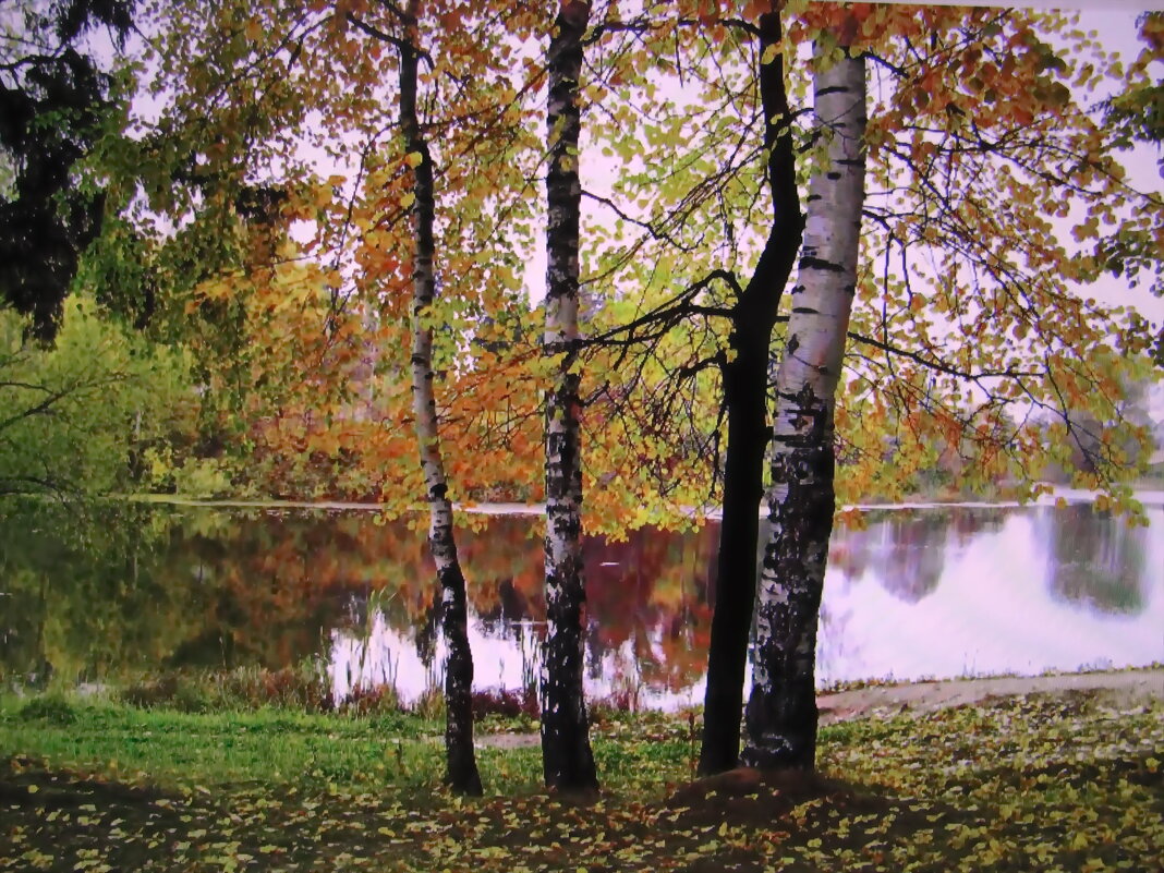 Осень - Людмила Смородинская
