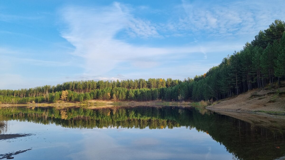 Лес в озере - swetalana Timofeeva