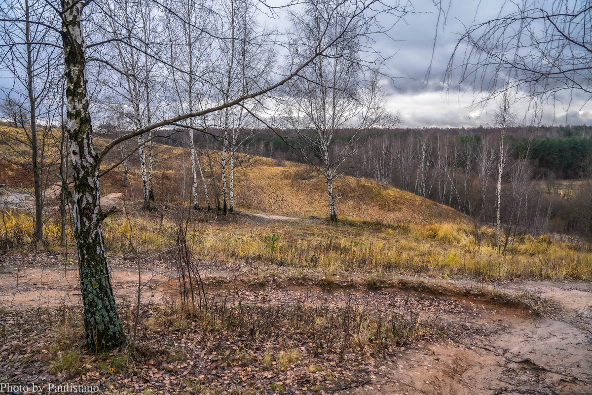 Палитра ноября... - Владимир Жданов