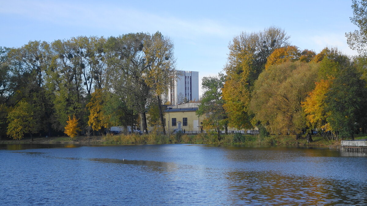 Октябрь в городе - Рита Симонова