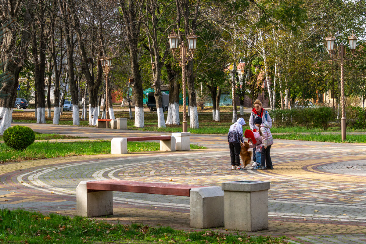 В городском парке - Игорь Сикорский