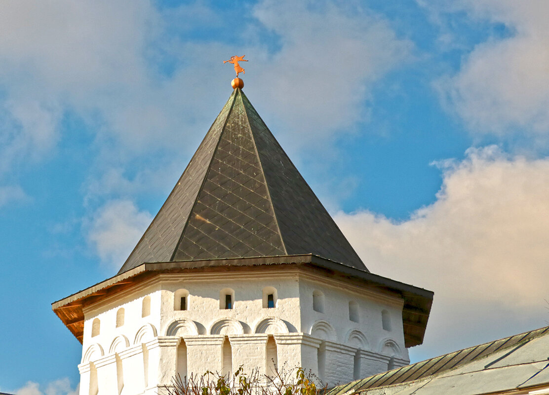 В  Саввино-Сторожевском монастыре, провиантная башня - Светлана 