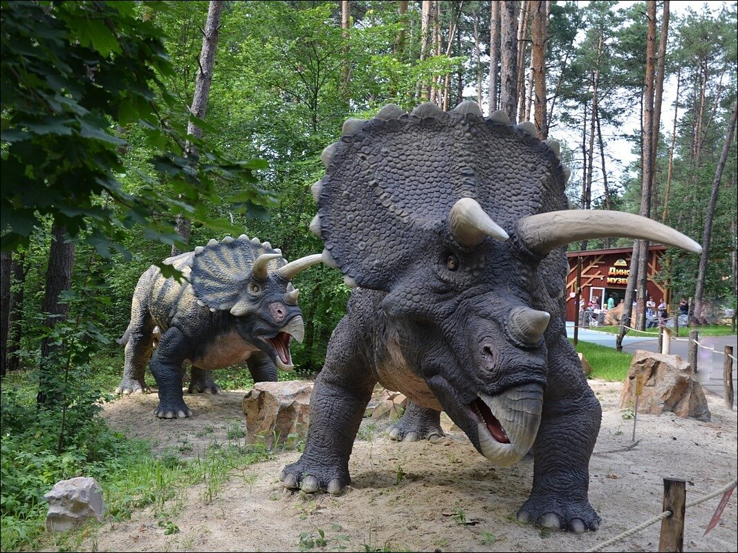 Не лезь на рога - Сеня Белгородский