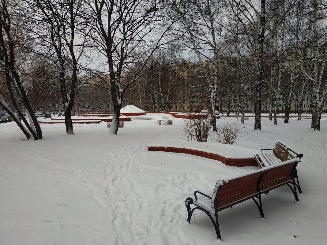 Зима. Фотограф торжествует - Андрей Лукьянов