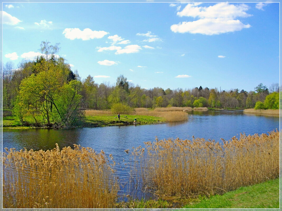 Весна на Филькином озере. - Лия ☼