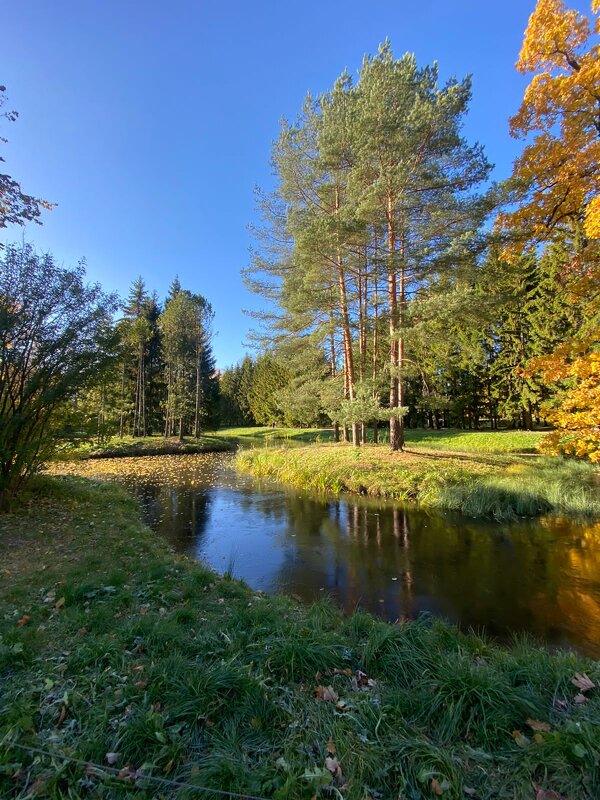 Царское село Парк - Нина Колгатина 