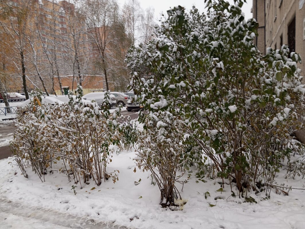 почти зима в городе моем - Елена Семигина