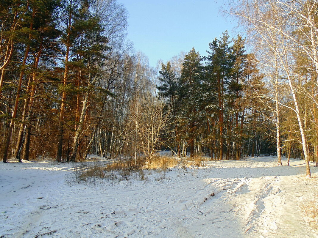 Пришла и к нам зима ...29 11 2023 . Серия . - Мила Бовкун