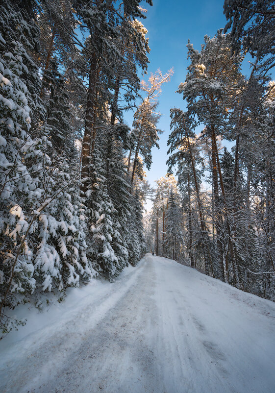 * - Александр Иванов