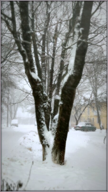весь день по улицам блуждала «снеговерть... - Любовь 
