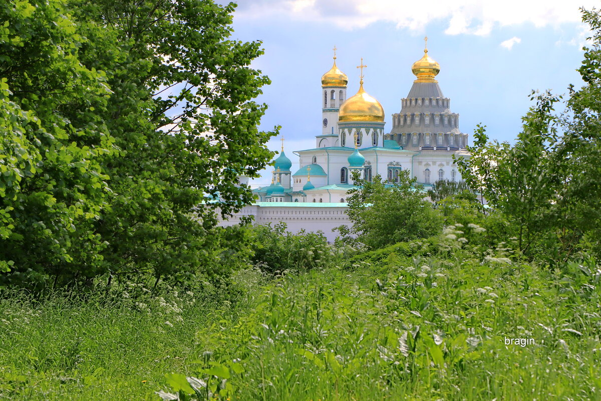 прогулки в Истре - Andrey Bragin 