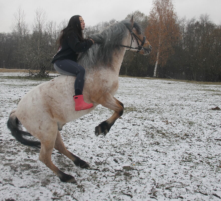 Сядешь на лошадь и чувствуешь: летишь! И все тяготы жизни забываются.... - Tatiana Markova
