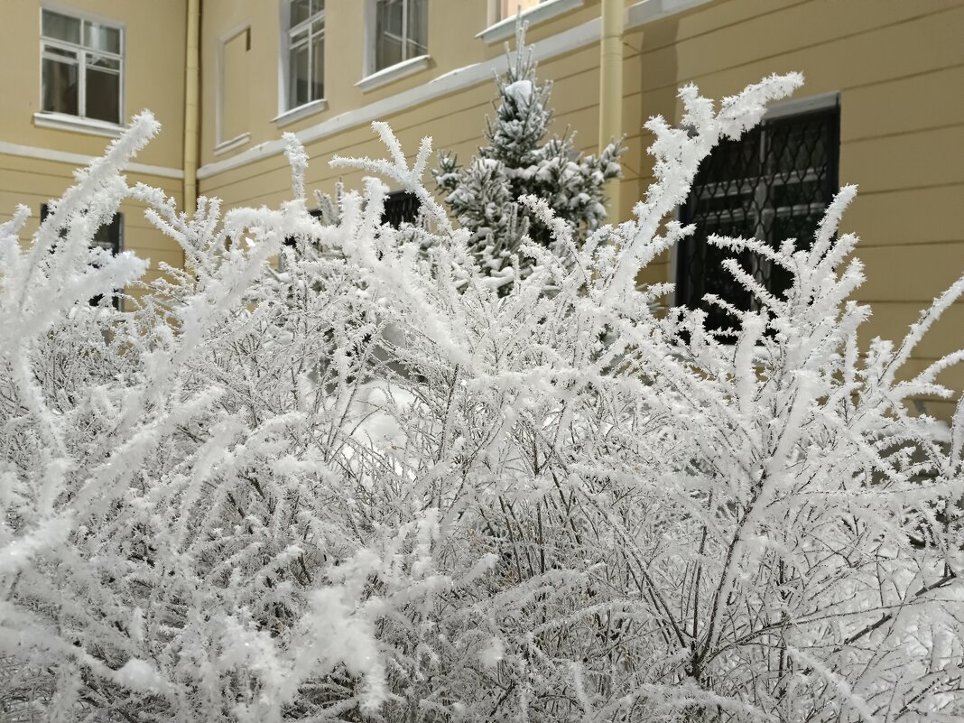 По морозу вечером... - Мария Васильева