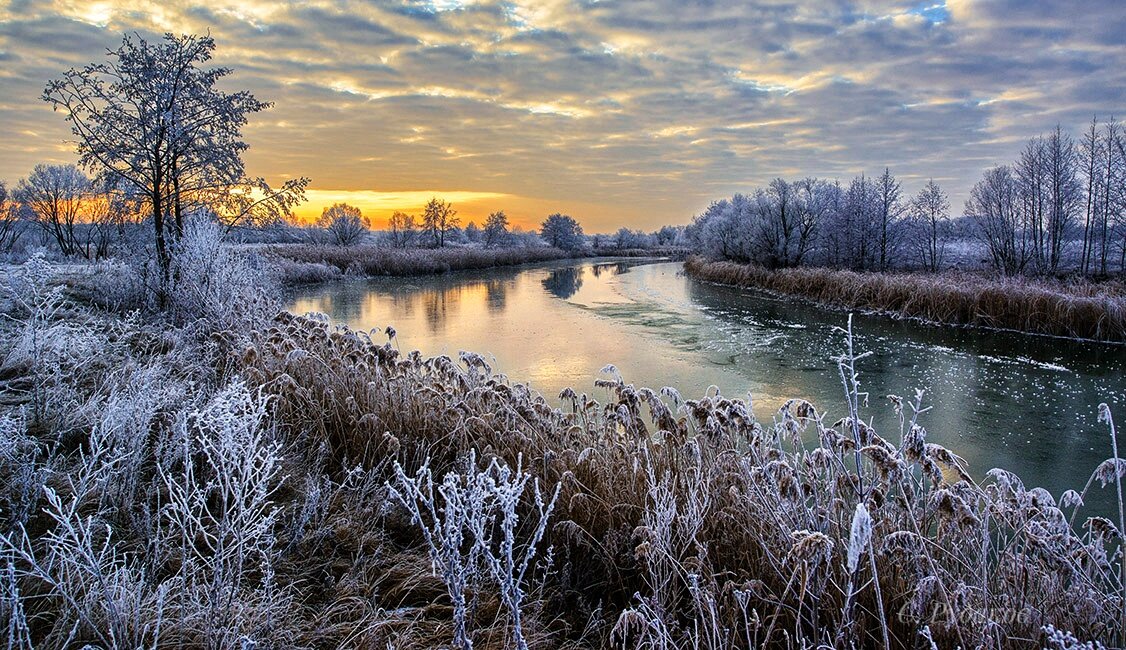 Морозное утро ноября - Сергей 