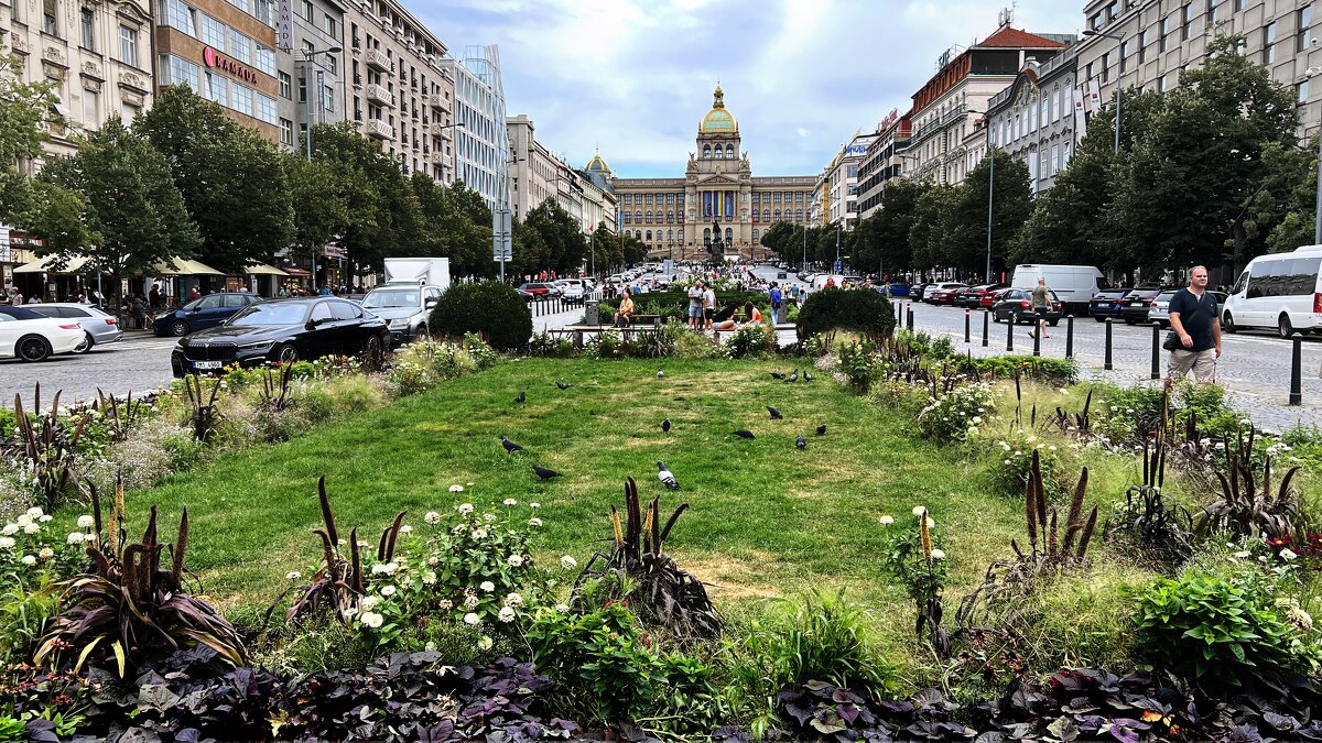 Прага–столица Чехии. /The beste of Prague/... - "The Natural World" Александер