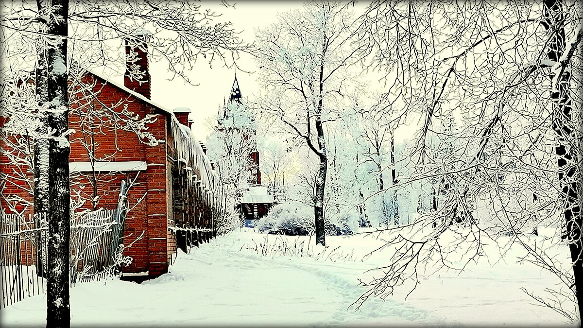 Хороший зимний день, у Шапели в Александровском парке - Сергей 