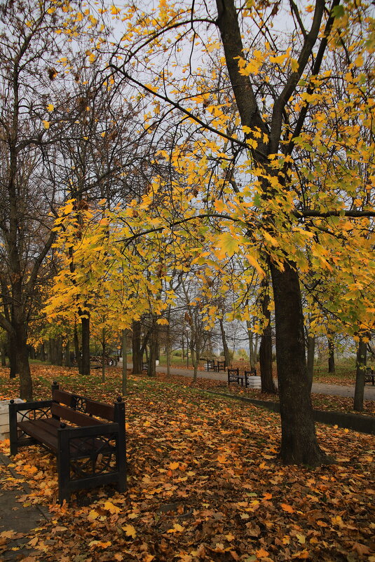 Осень в парке - M Marikfoto
