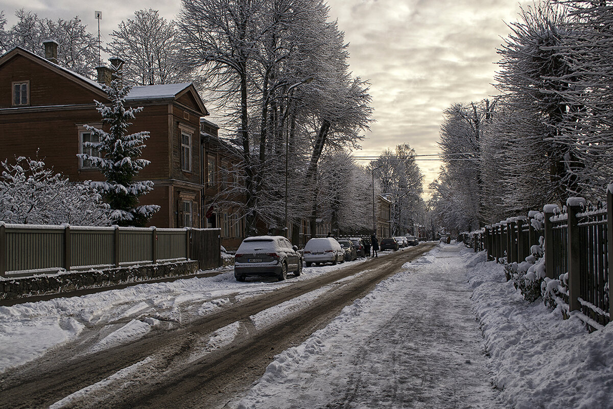 Зима на тихой улице - Регина 