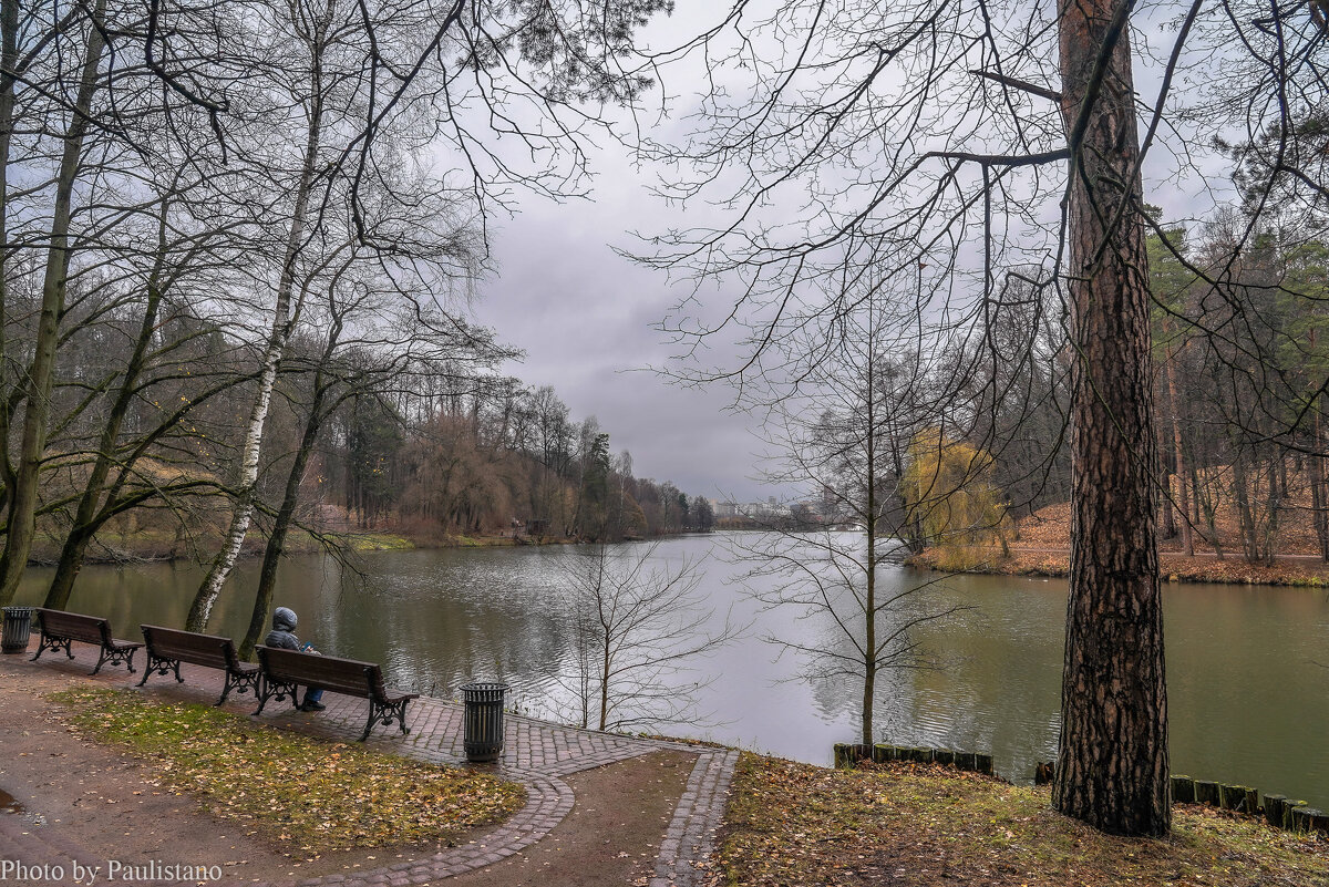 Ноябрь в Царицыно... - Владимир Жданов