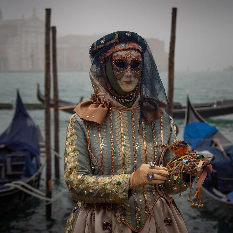 Венецианский карнавал - Сергей Мартюшин