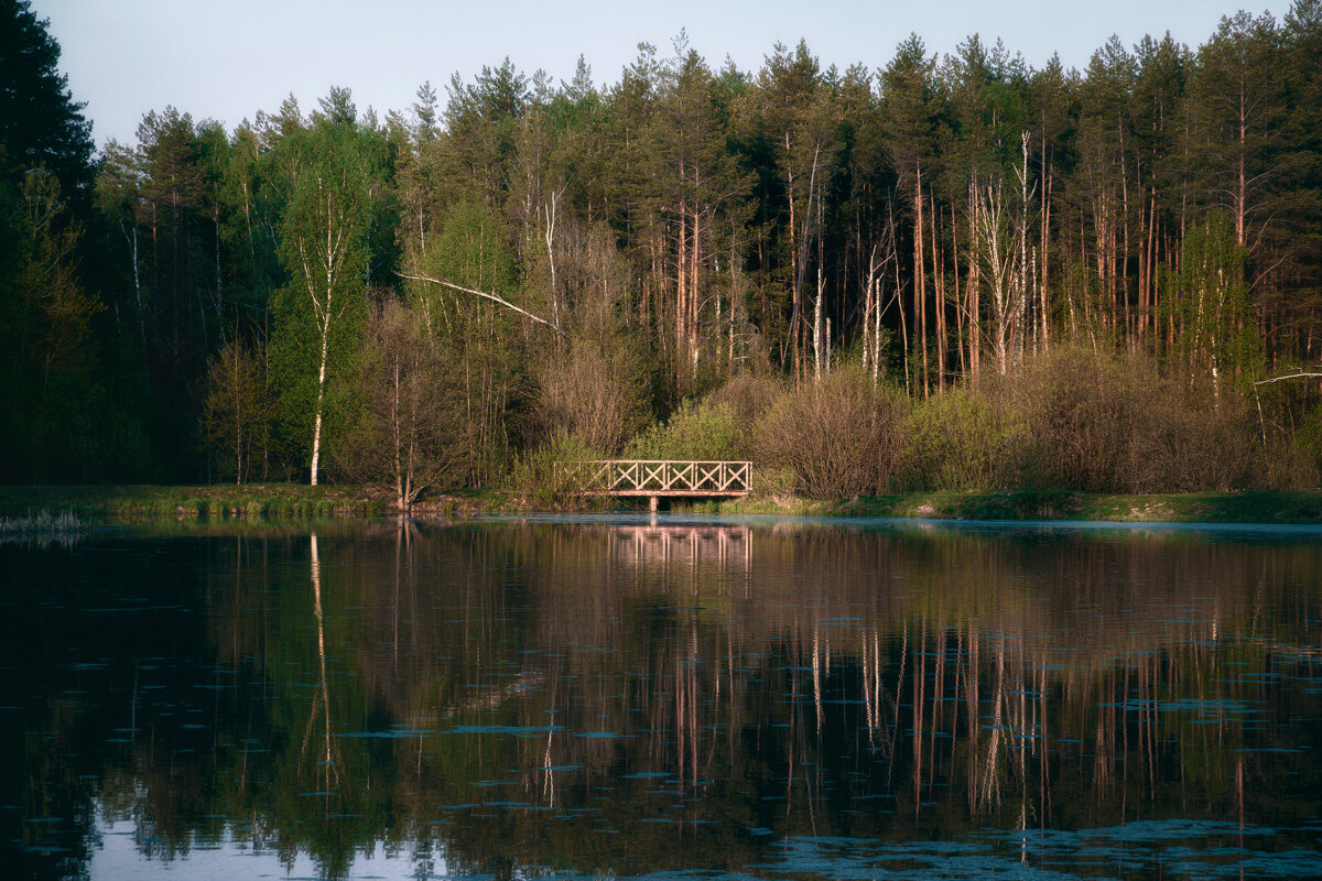 Мостик на лесном озере - Валерий Вождаев
