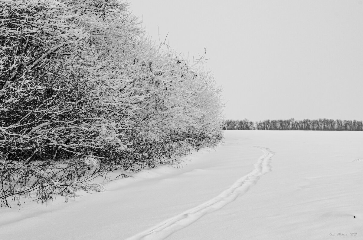 Зима - Andrej Guz