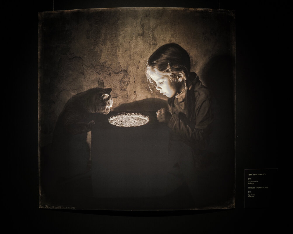 На выставке фотографа Андрея Прохорова. Маленькая девочка и кот Том. - Магомед .