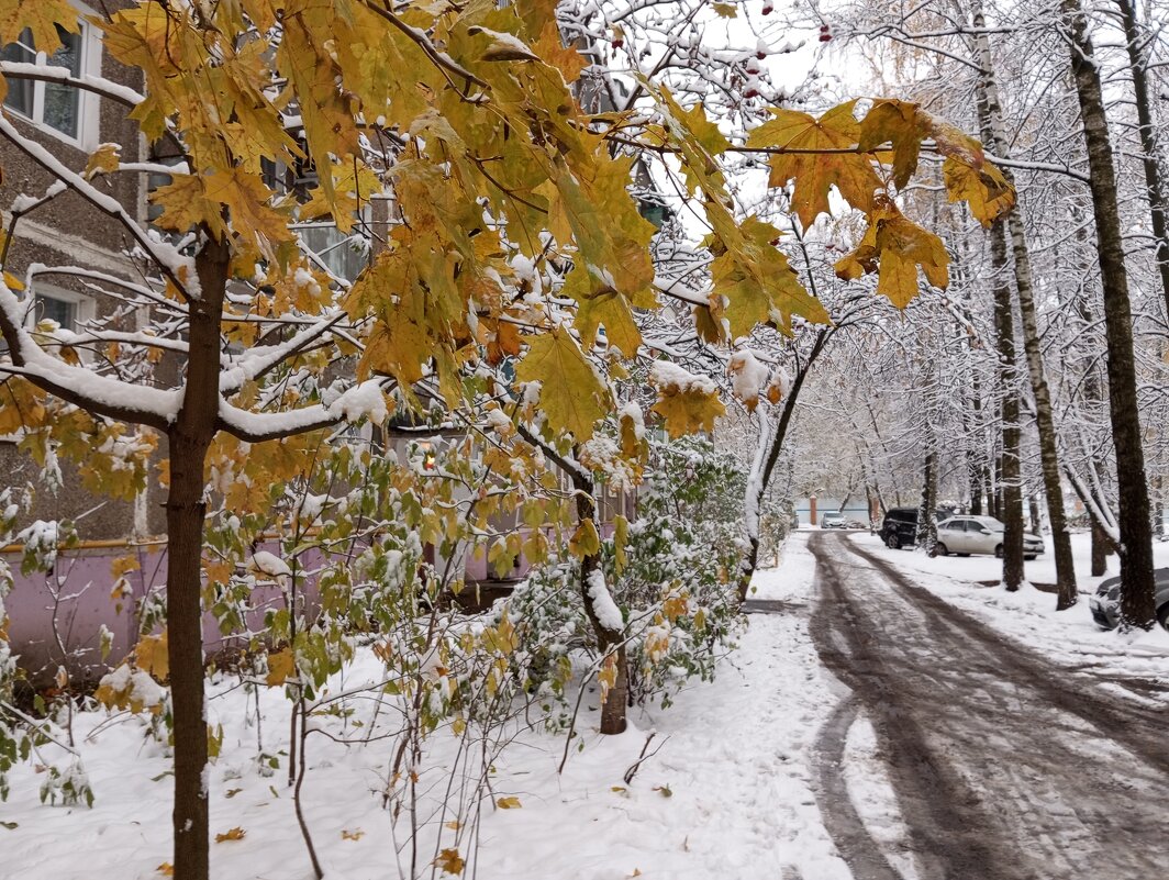 Снег в октябре - Елена Семигина