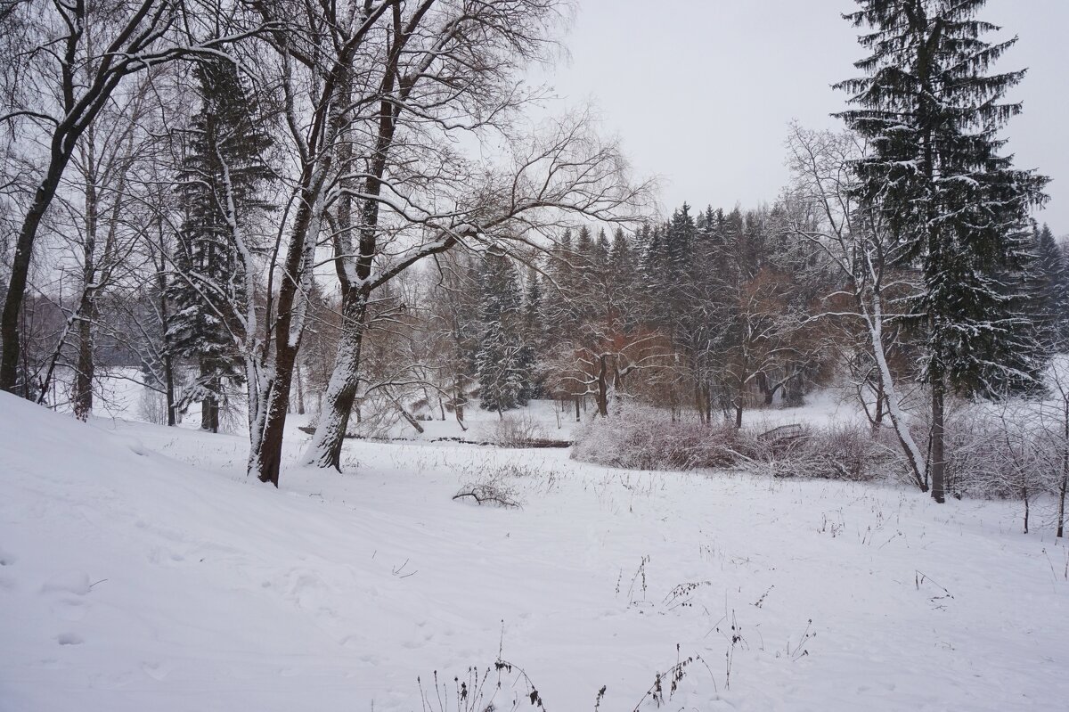 Павловск пасмурный - Nataly St. 