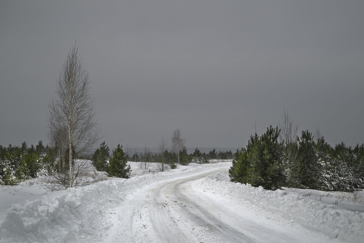 Дорога в зимнюю сказку - Валерий VRN