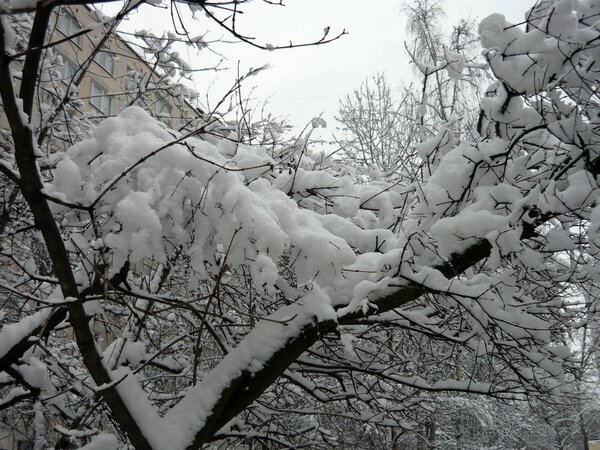 Засыпало снегом - Вера Щукина