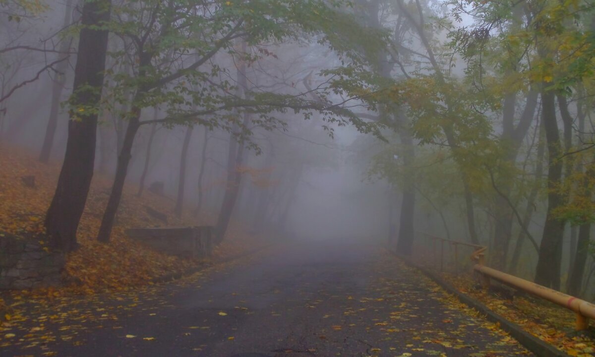 Утром туманным..... - Юрий Цыплятников