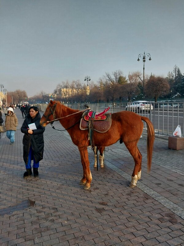 Almaty. - Murat Bukaev 