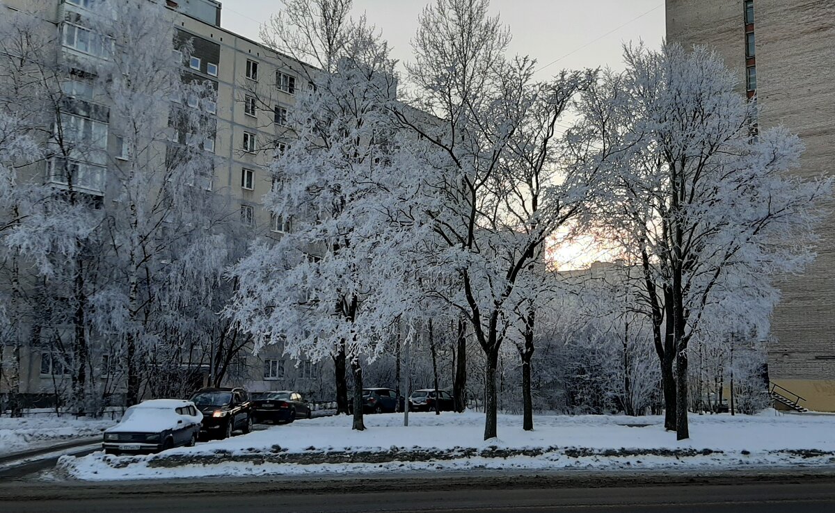 *** - Наталья Герасимова